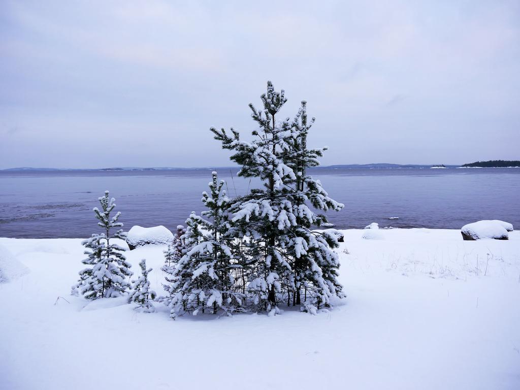 Pielislinna Kolinkylä 외부 사진